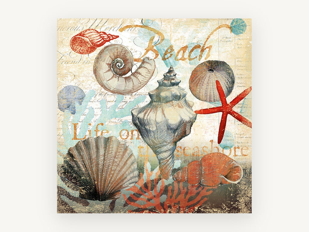 Seashore Shell Collage, coastal canvas wall art print, front view