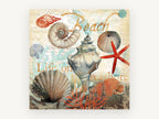 Seashore Shell Collage, coastal canvas wall art print, front view