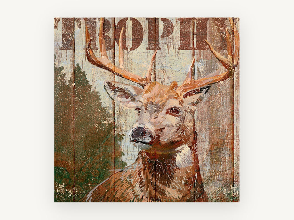 Weathered Plank Stag, rustic stag illustration on timber, animal canvas wall art print, front view