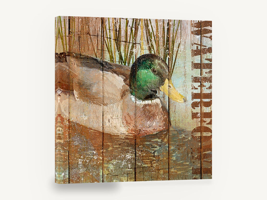 Mallard on Weathered Boards, mallard duck rustic wood, animal canvas wall art print ready to hang