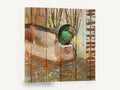 Mallard on Weathered Boards, mallard duck rustic wood, animal canvas wall art print ready to hang