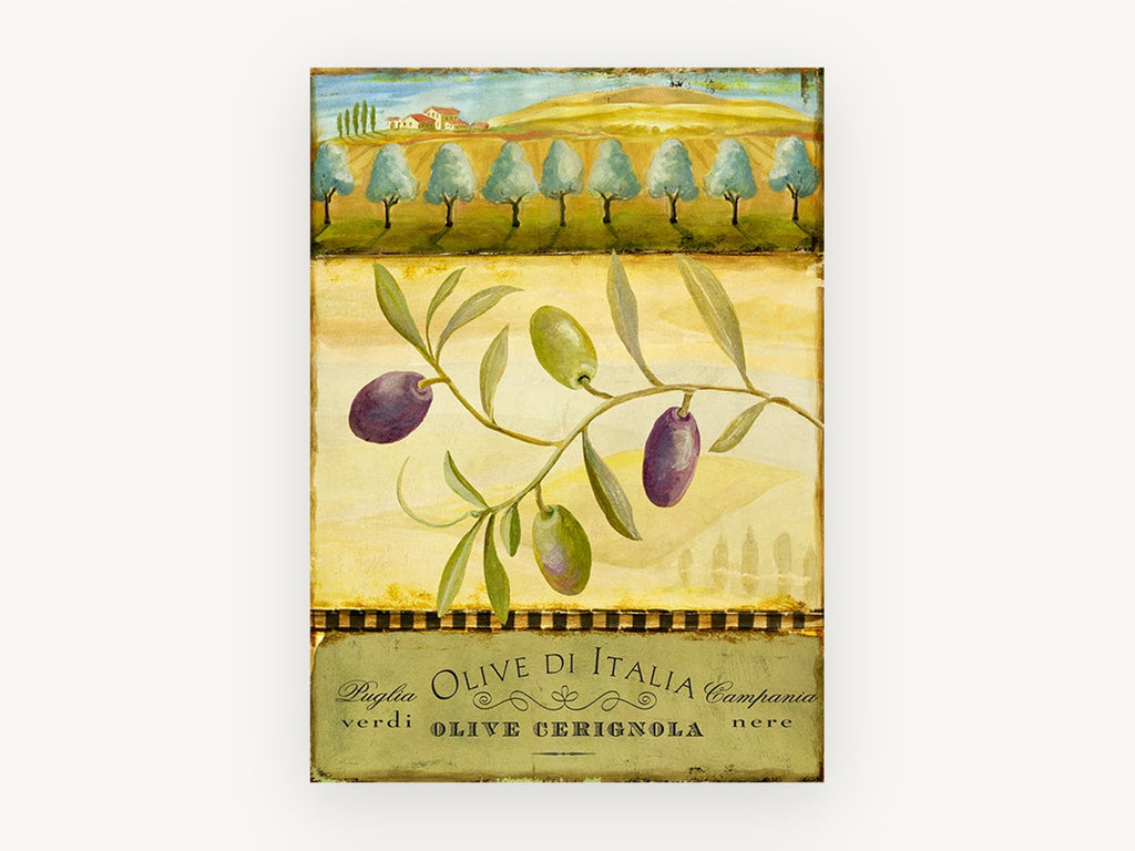 Olive Branch Puglia, floral canvas wall art print, front view