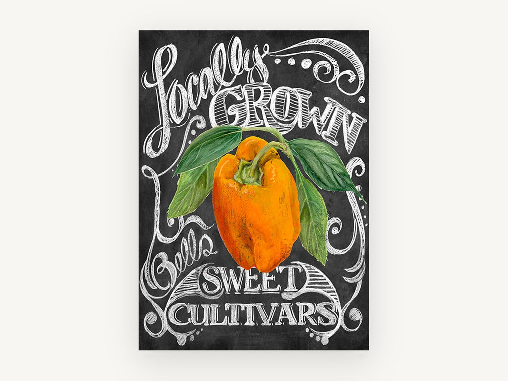 Chalkboard Orange Capsicum, floral canvas wall art print, front view