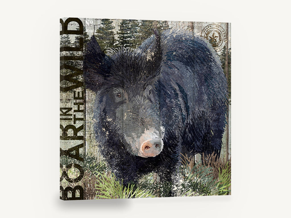 Boar in the Wild, vintage wild boar hunting licence, stretched canvas wall art print ready to hang