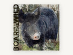 Boar in the Wild, vintage canvas wall art print, front view