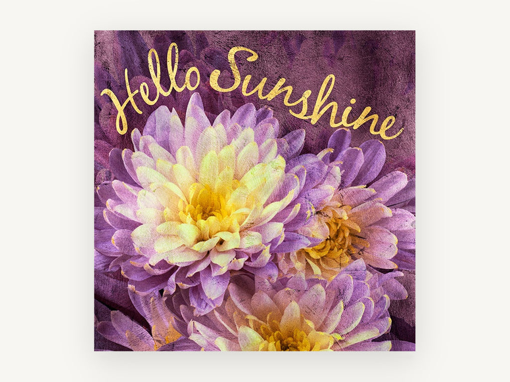 Purple Chrysanthemum Sunshine, floral canvas wall art print, front view