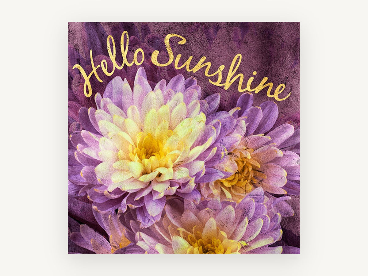Purple Chrysanthemum Sunshine, floral canvas wall art print, front view