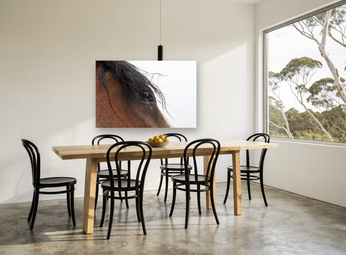 Windblown Forelock animal canvas print on the wall of a dining room
