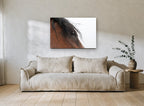 Windblown Forelock animal canvas print on the wall of a living room