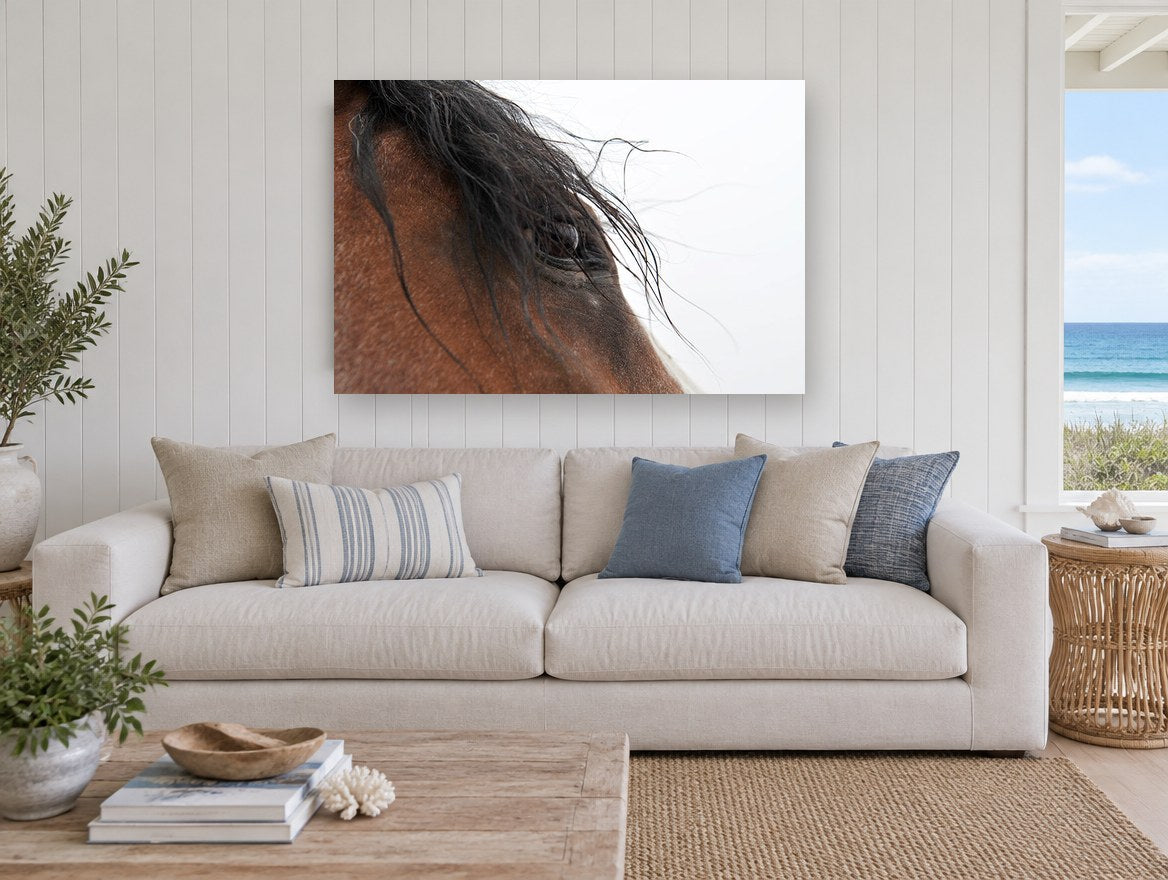 Windblown Forelock animal canvas print on the wall of a beach house living room