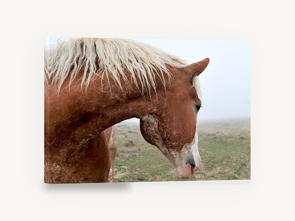 Chestnut Horse in Fog, chestnut horse misty field photograph, landscape canvas wall art print ready to hang