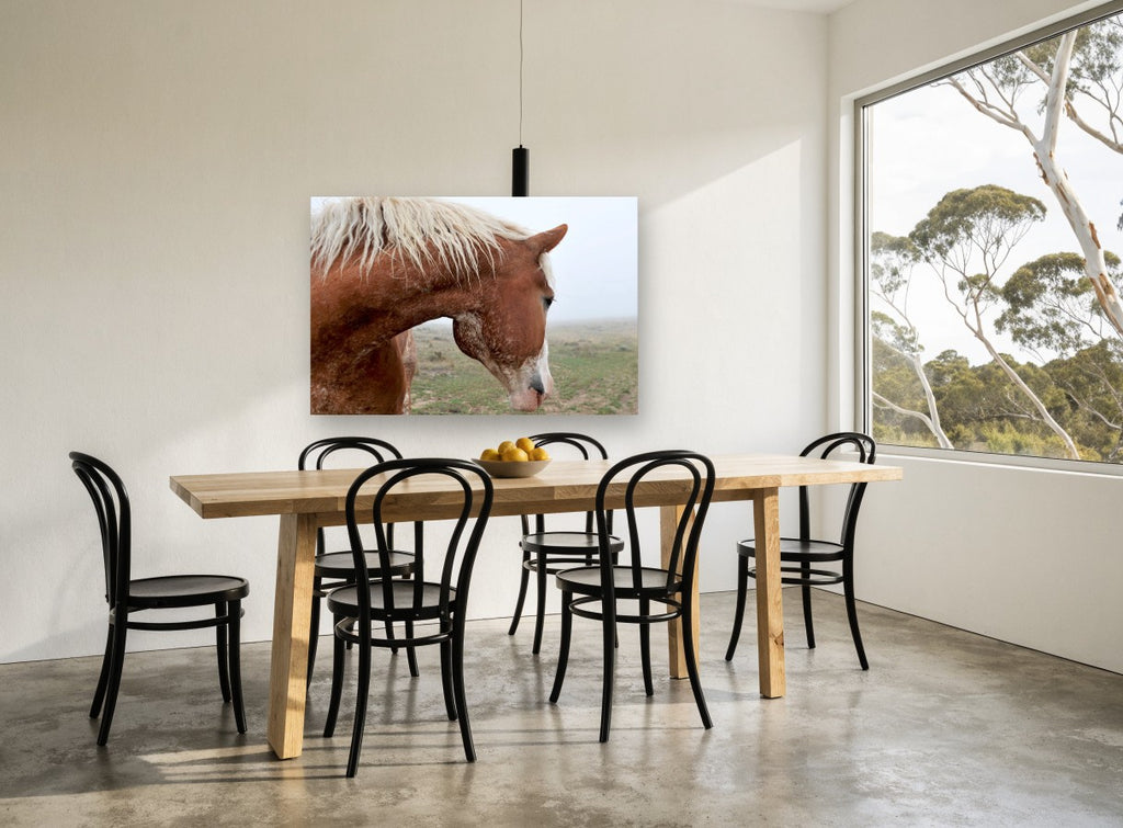 Chestnut Horse in Fog landscape canvas print on the wall of a dining room