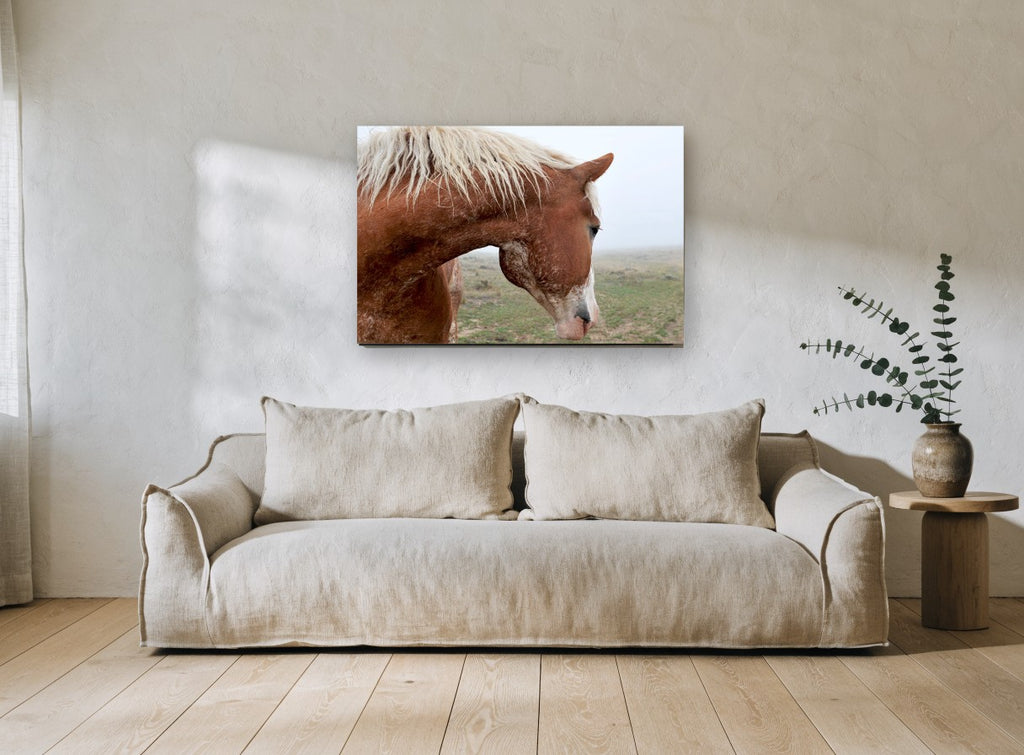 Chestnut Horse in Fog landscape canvas print on the wall of a living room