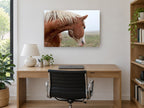Chestnut Horse in Fog landscape canvas print on the wall of a study