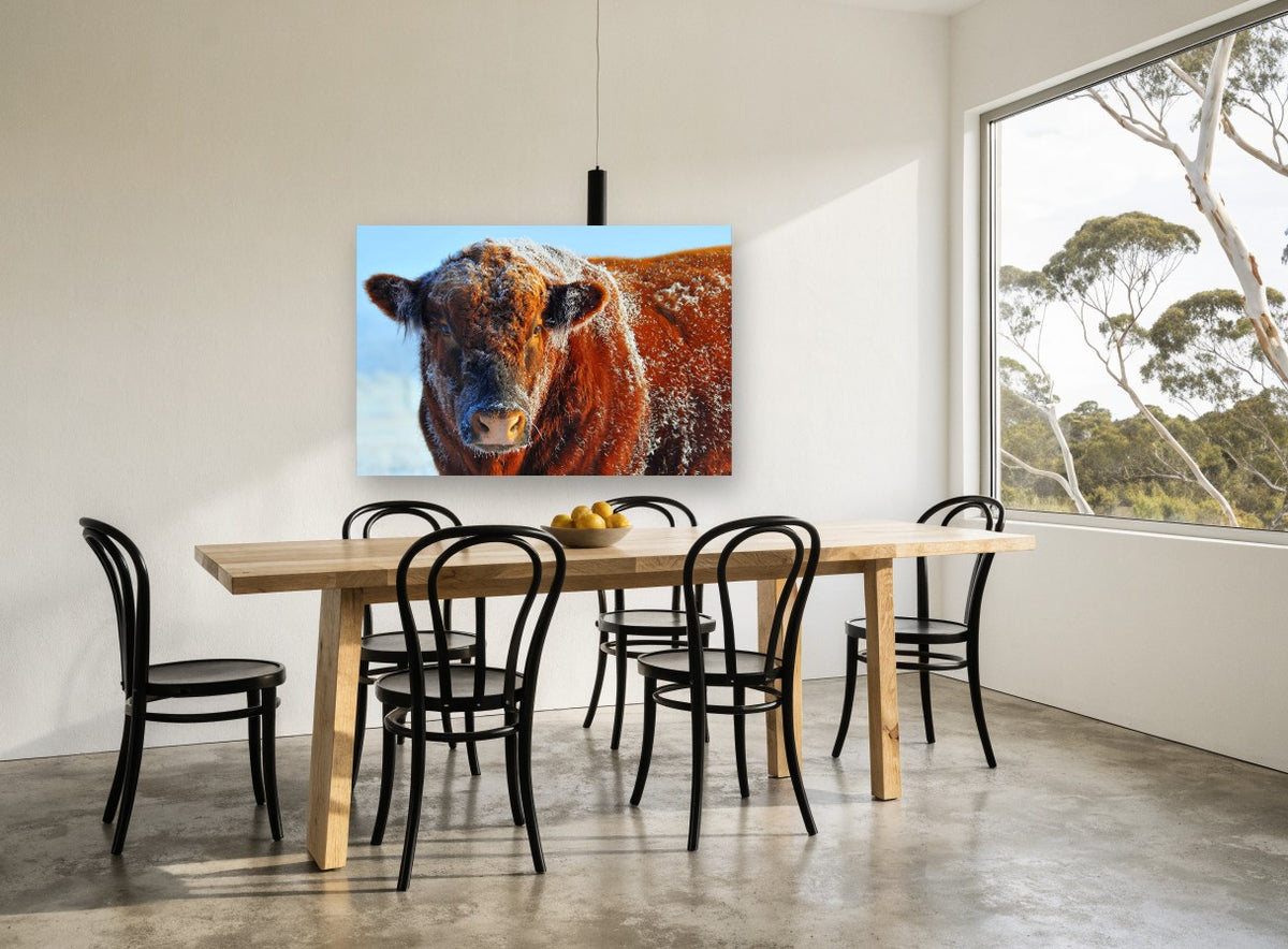 Frosted Red Bull animal canvas print on the wall of a dining room