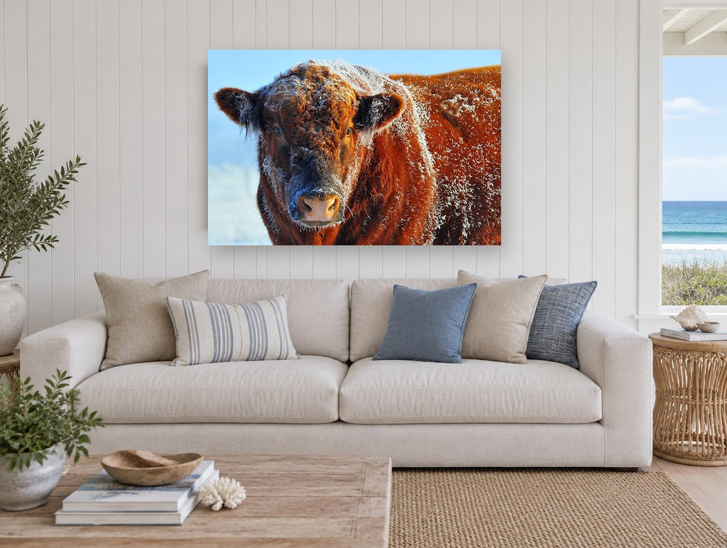 Frosted Red Bull animal canvas print on the wall of a beach house living room