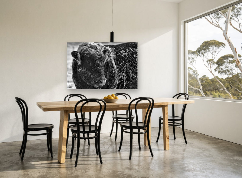 Frosted Bull Portrait animal canvas print on the wall of a dining room