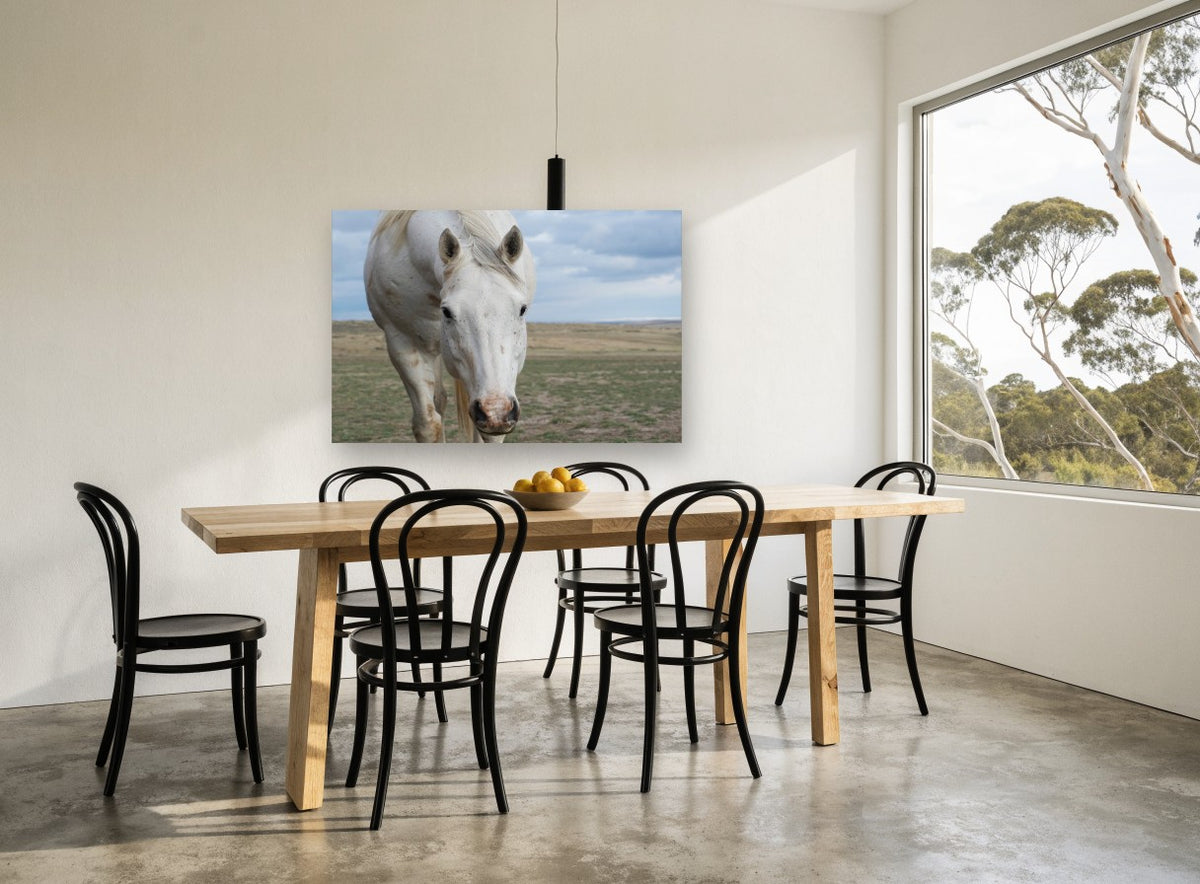 White Horse Plains landscape canvas print on the wall of a dining room