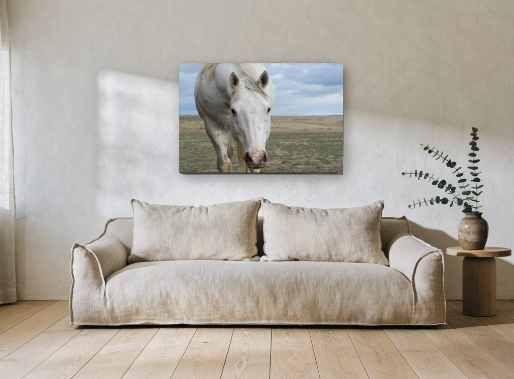 White Horse Plains landscape canvas print on the wall of a living room