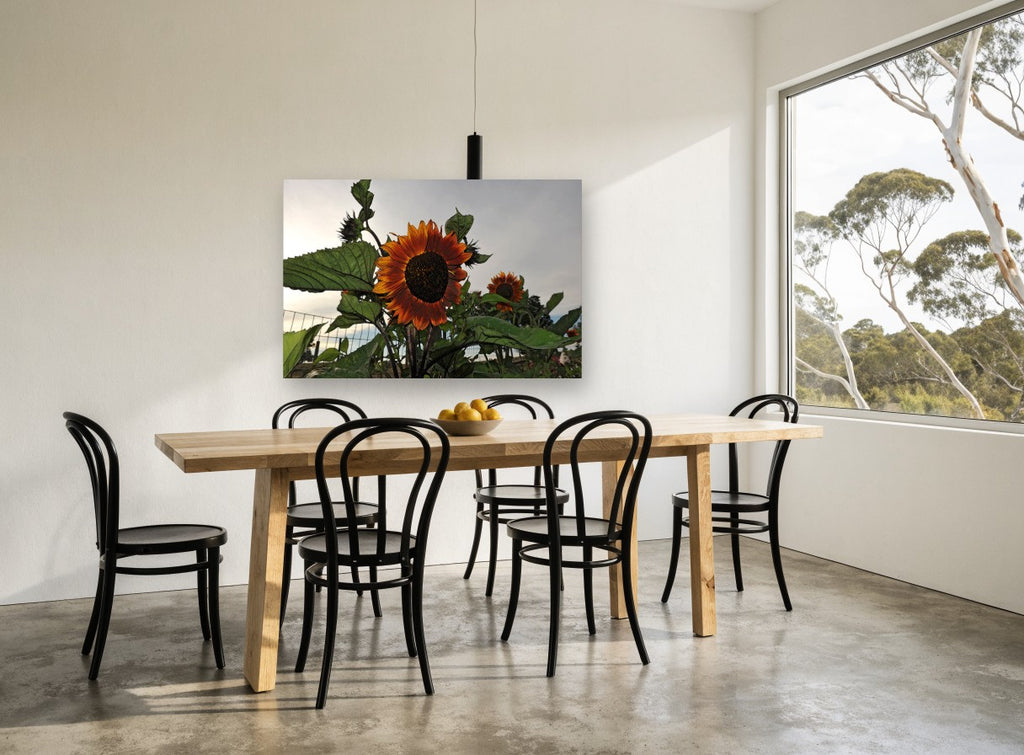 Rust Sunflower at Dusk floral canvas print on the wall of a dining room