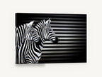 Striped Zebra Trio, black and white zebra photograph, animal canvas wall art print ready to hang