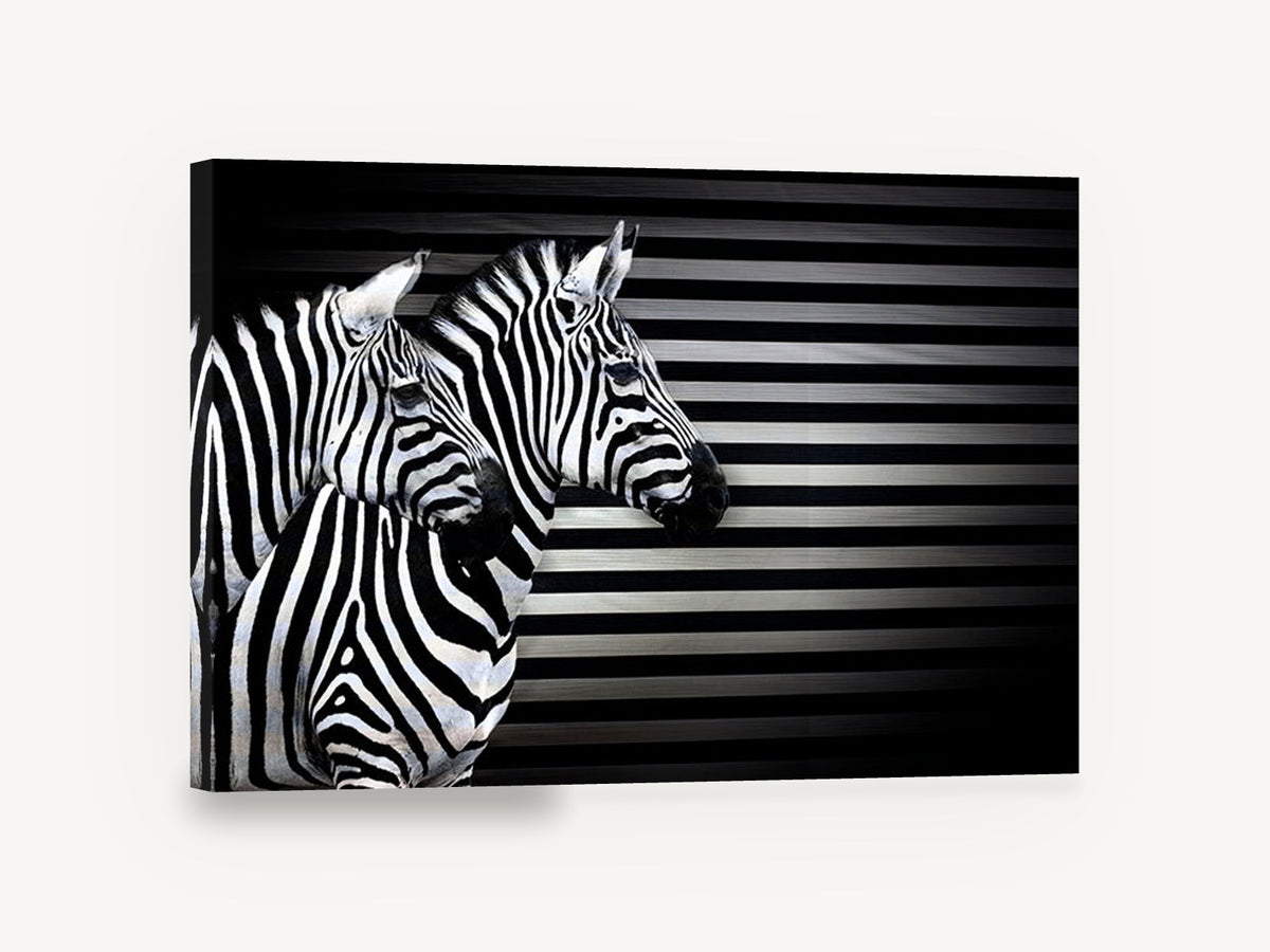 Striped Zebra Trio, black and white zebra photograph, animal canvas wall art print ready to hang