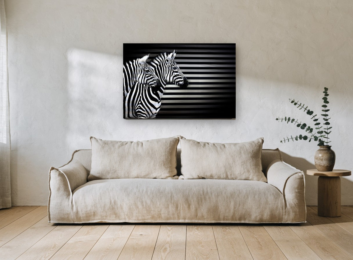 Striped Zebra Trio animal canvas print on the wall of a living room