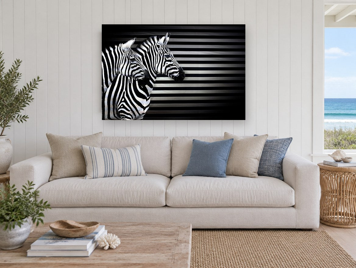 Striped Zebra Trio animal canvas print on the wall of a beach house living room