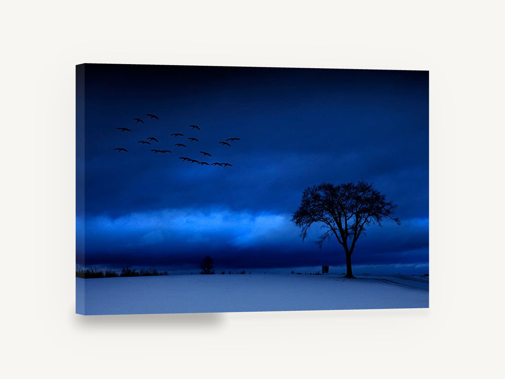 Blue Hour Geese, blue winter dusk tree photograph, landscape canvas wall art print ready to hang
