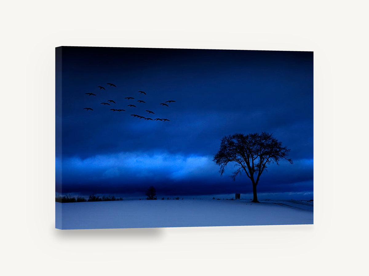 Blue Hour Geese, blue winter dusk tree photograph, landscape canvas wall art print ready to hang
