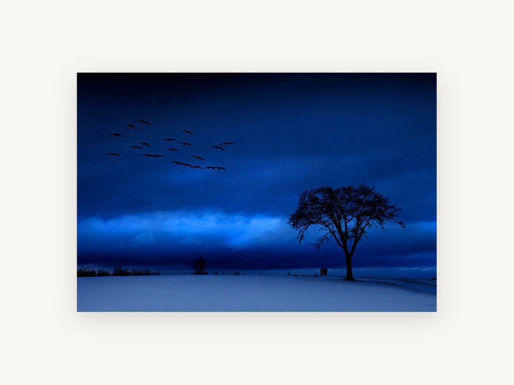 Blue Hour Geese, blue winter dusk tree photograph, landscape canvas wall art print, front view