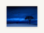 Blue Hour Geese, blue winter dusk tree photograph, landscape canvas wall art print, front view