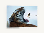 Tiger and Goose, yawning tiger goose photograph, animal canvas wall art print ready to hang
