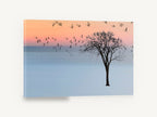 Geese at Dusk, geese over lone tree photograph, landscape canvas wall art print ready to hang