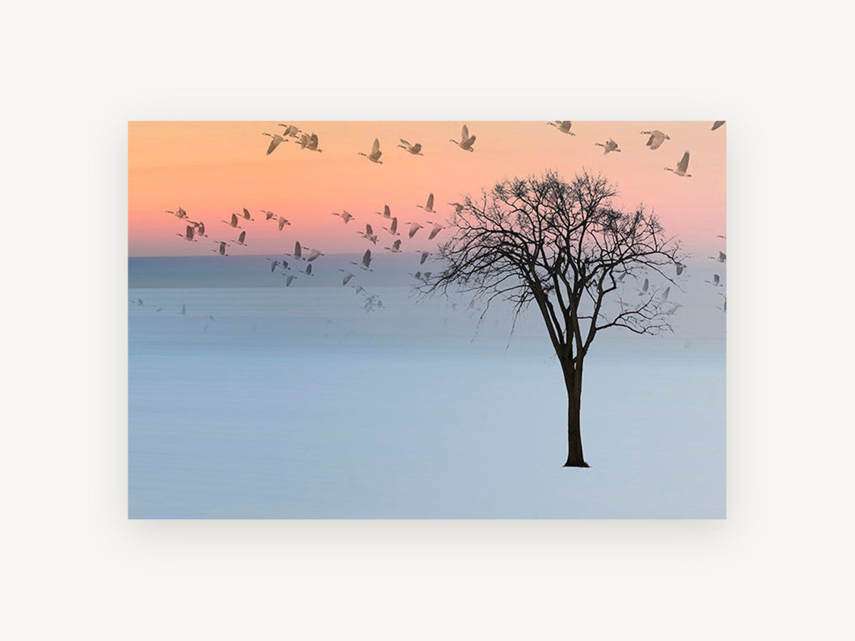 Geese at Dusk, geese over lone tree photograph, landscape canvas wall art print, front view