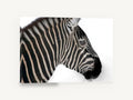 Zebra in Profile, zebra head profile photograph, animal canvas wall art print ready to hang