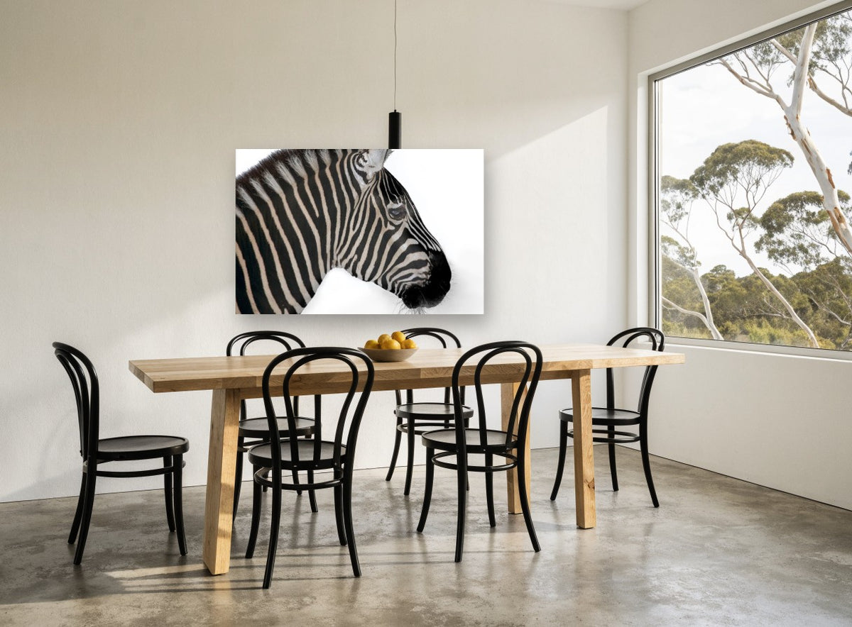 Zebra in Profile animal canvas print on the wall of a dining room
