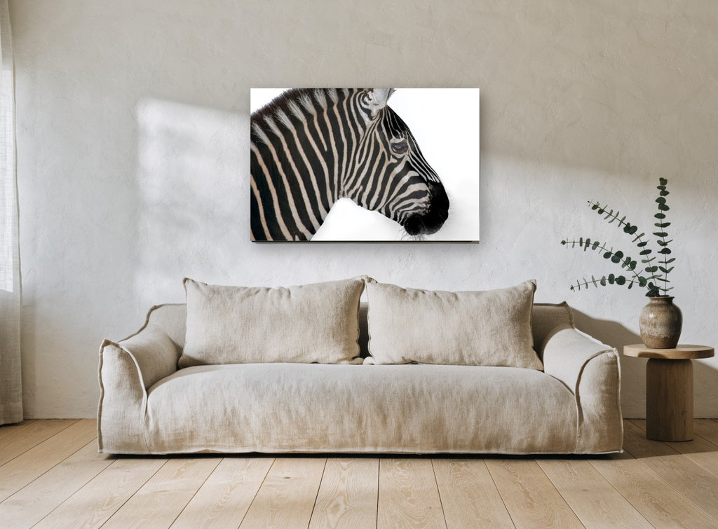 Zebra in Profile animal canvas print on the wall of a living room