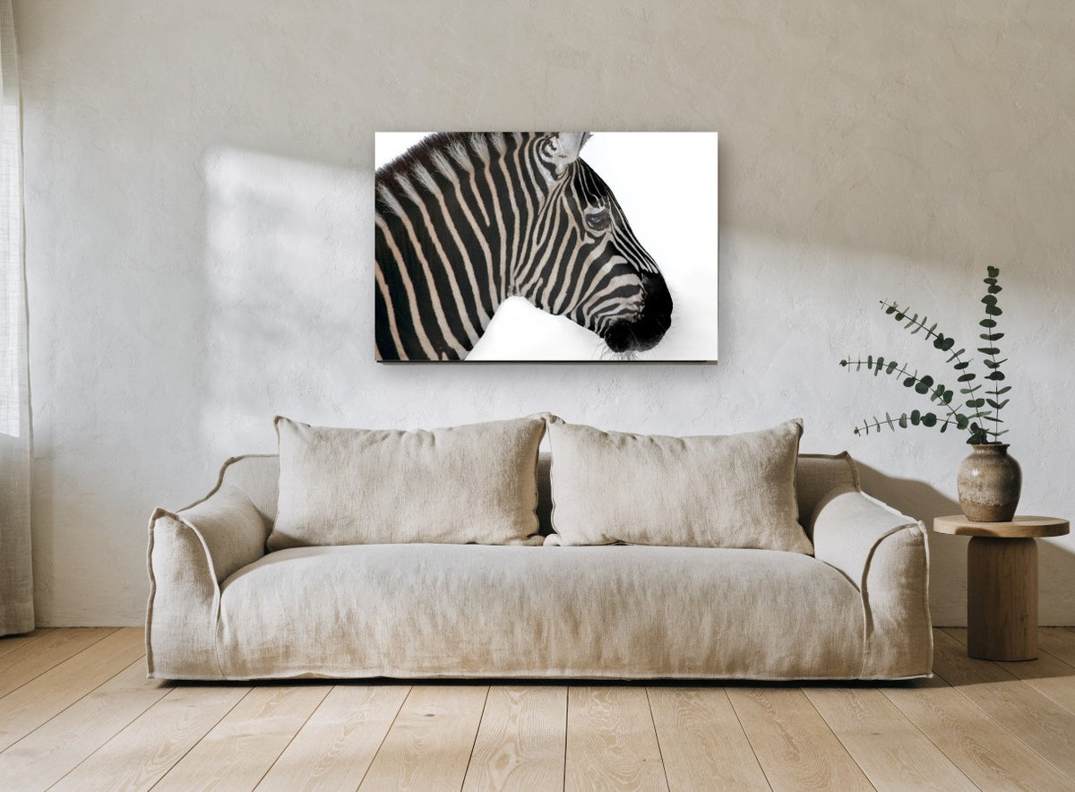 Zebra in Profile animal canvas print on the wall of a living room