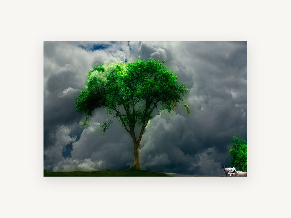 Storm Tree and Sheep, lone green tree stormy sky sheep, landscape canvas wall art print, front view
