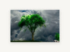 Storm Tree and Sheep, lone green tree stormy sky sheep, landscape canvas wall art print, front view