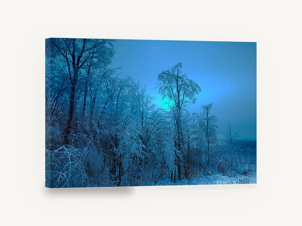 Blue Glow Ice Woods, frosted winter trees blue photograph, landscape canvas wall art print ready to hang