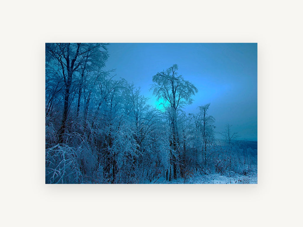 Blue Glow Ice Woods, frosted winter trees blue photograph, landscape canvas wall art print, front view