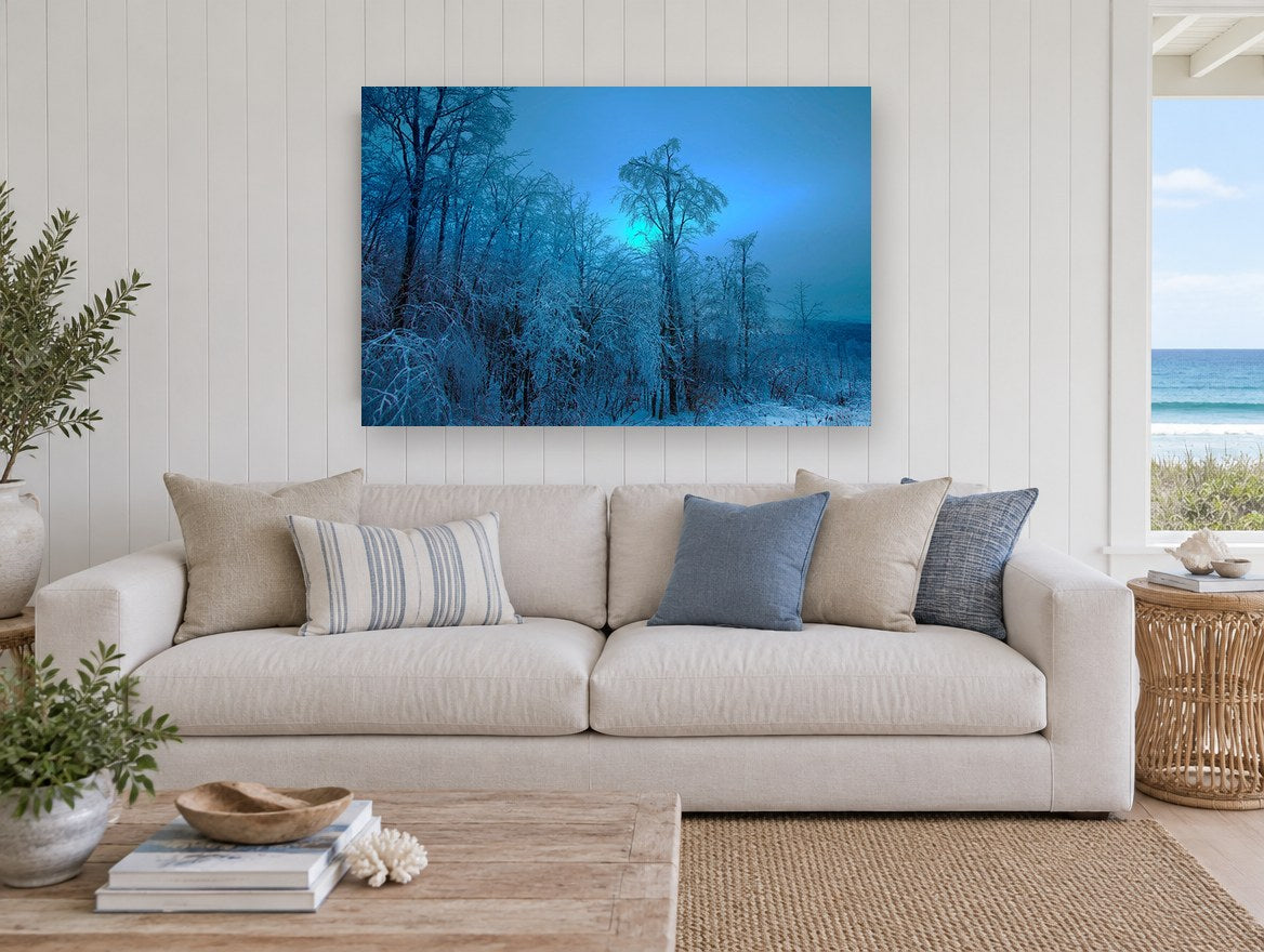 Blue Glow Ice Woods landscape canvas print on the wall of a beach house living room