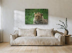 Leopard in Wet Grass animal canvas print on the wall of a living room