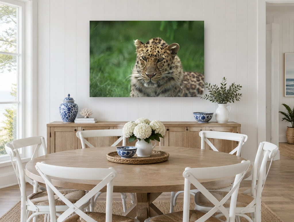 Leopard in Wet Grass animal canvas print on the wall of a Hamptons dining room