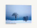 Two Trees in Winter, frosted trees snowy hill photograph, landscape canvas wall art print ready to hang