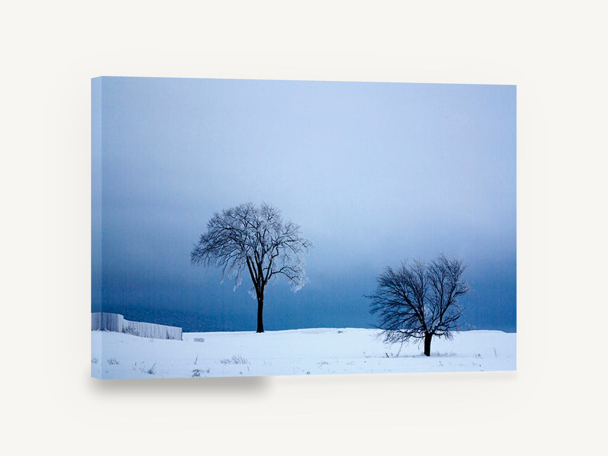 Two Trees in Winter, frosted trees snowy hill photograph, landscape canvas wall art print ready to hang