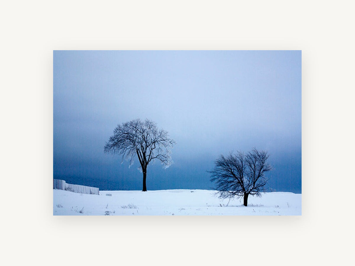 Two Trees in Winter, frosted trees snowy hill photograph, landscape canvas wall art print, front view