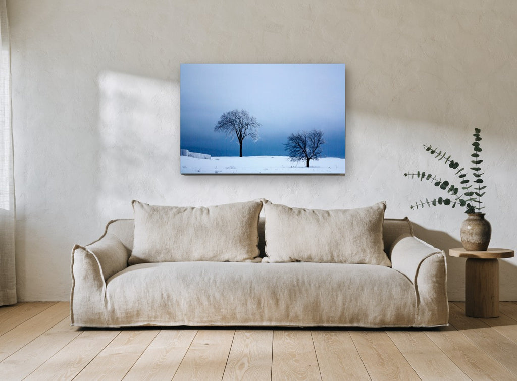 Two Trees in Winter landscape canvas print on the wall of a living room